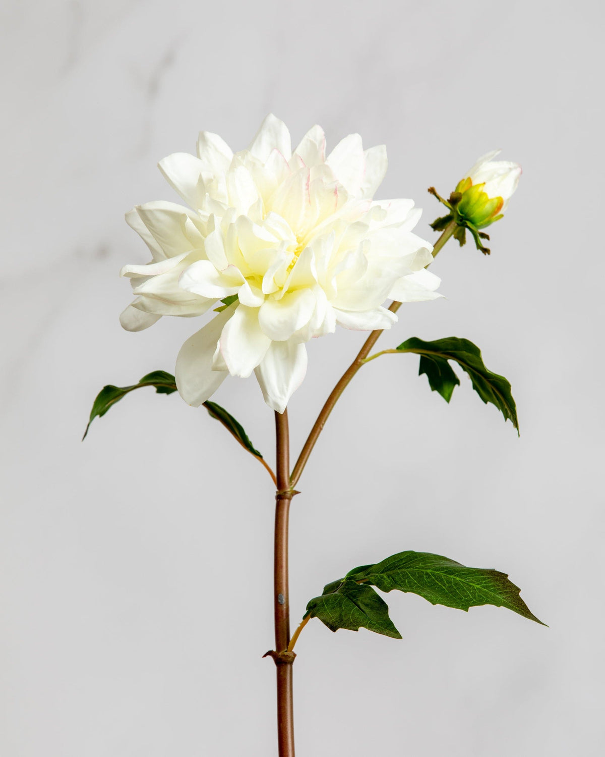 Prestige Botanicals Artificial White Dahlia Stem