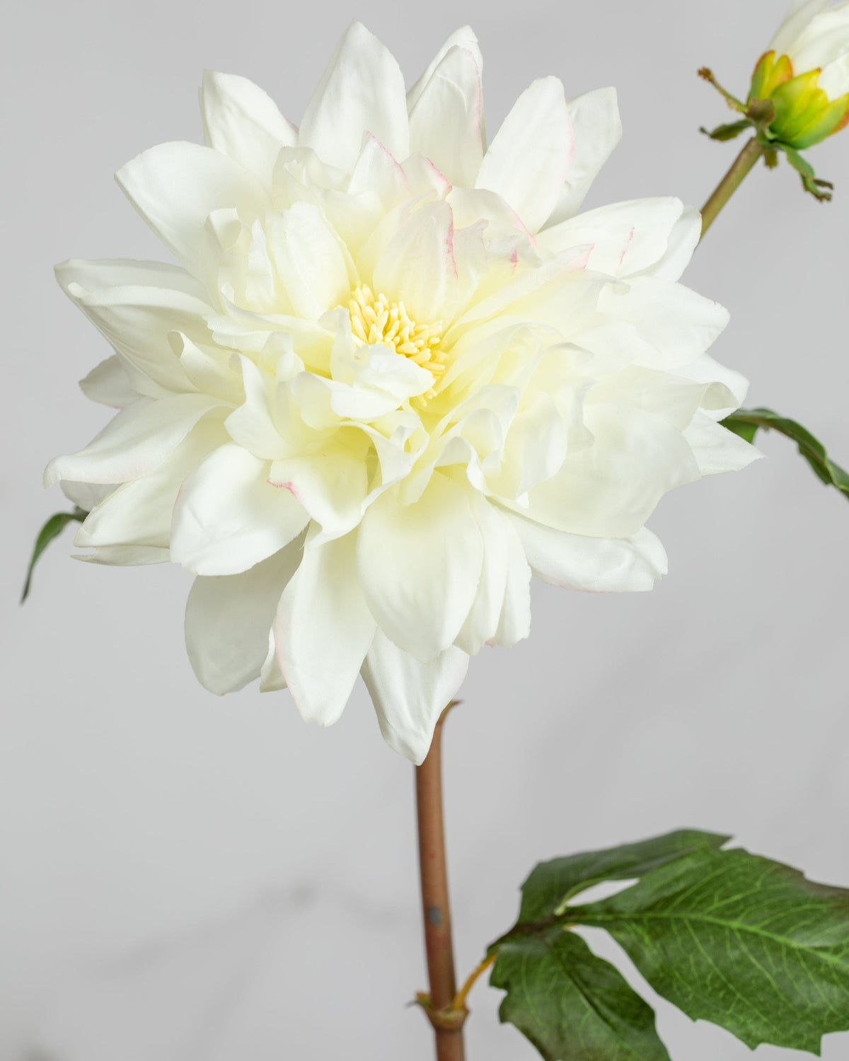 Prestige Botanicals Artificial White Dahlia close up