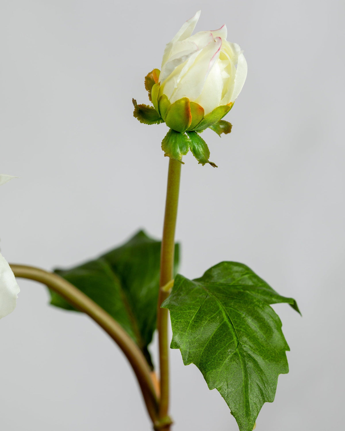 Prestige Botanicals Artificial White Dahlia bud close up