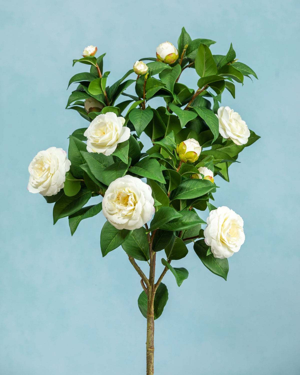 Prestige Botanicals Artificial White Camellia Topiary