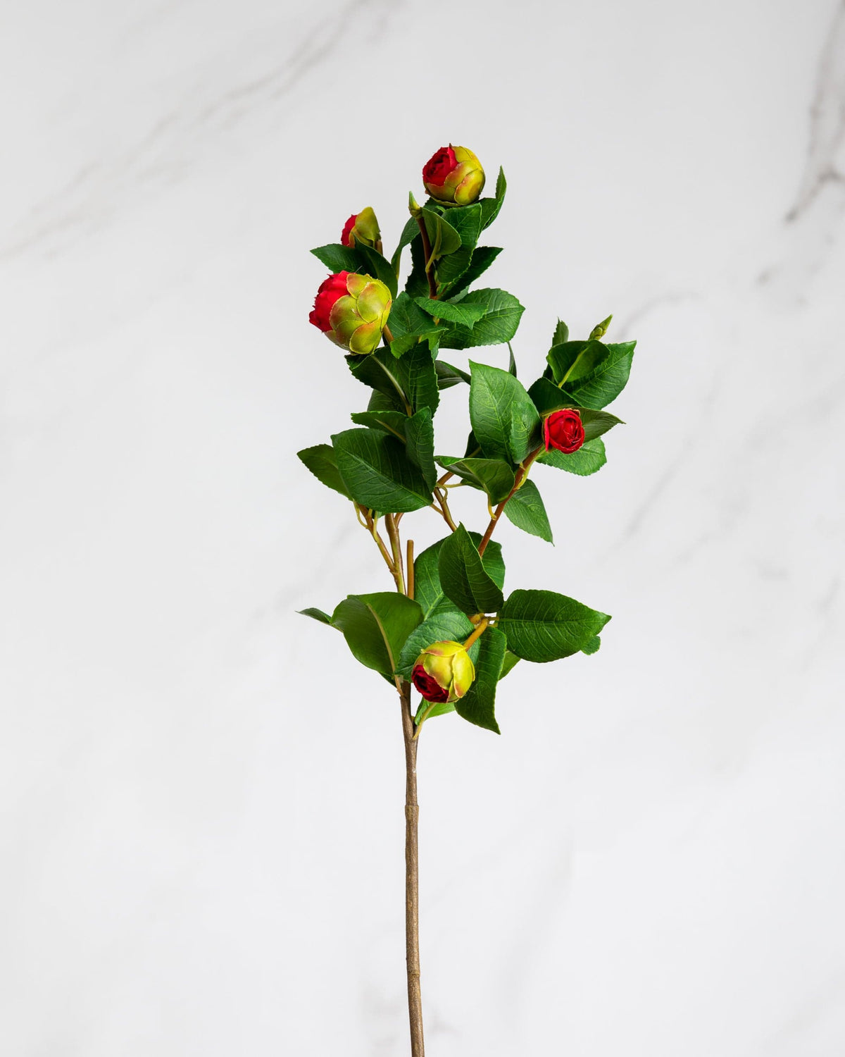 Prestige Botanicals Artificial Camellia Foliage stem with red buds