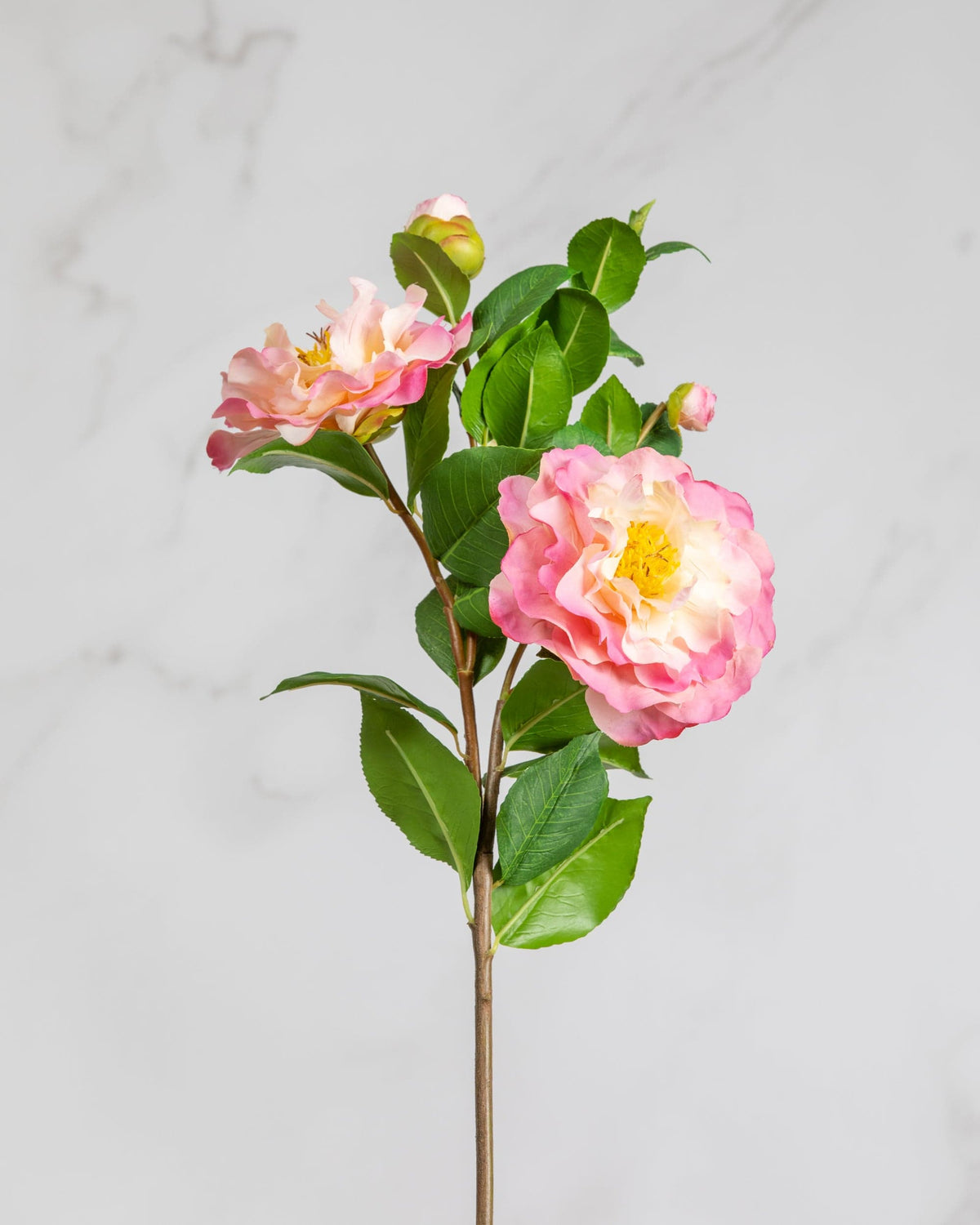 Prestige Botanicals Artificial Pink Ruffle Camellia Stem