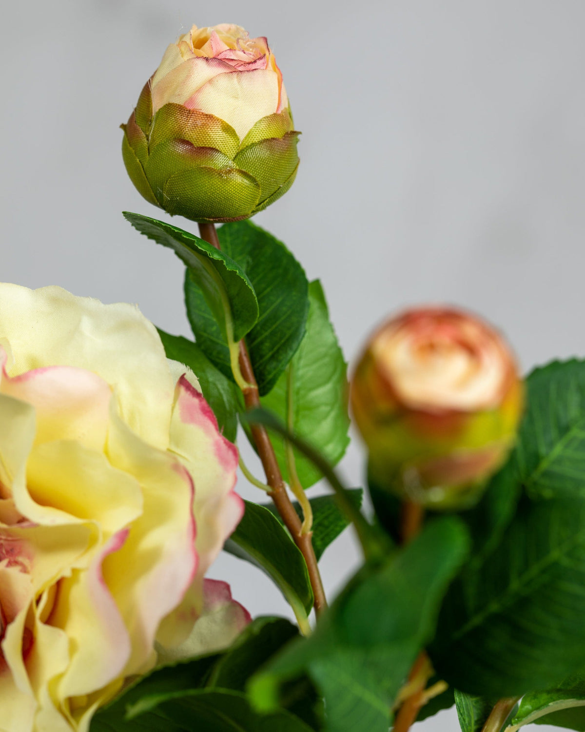 Prestige Botanicals Artificial Cream Ruffle Camellia bud close up