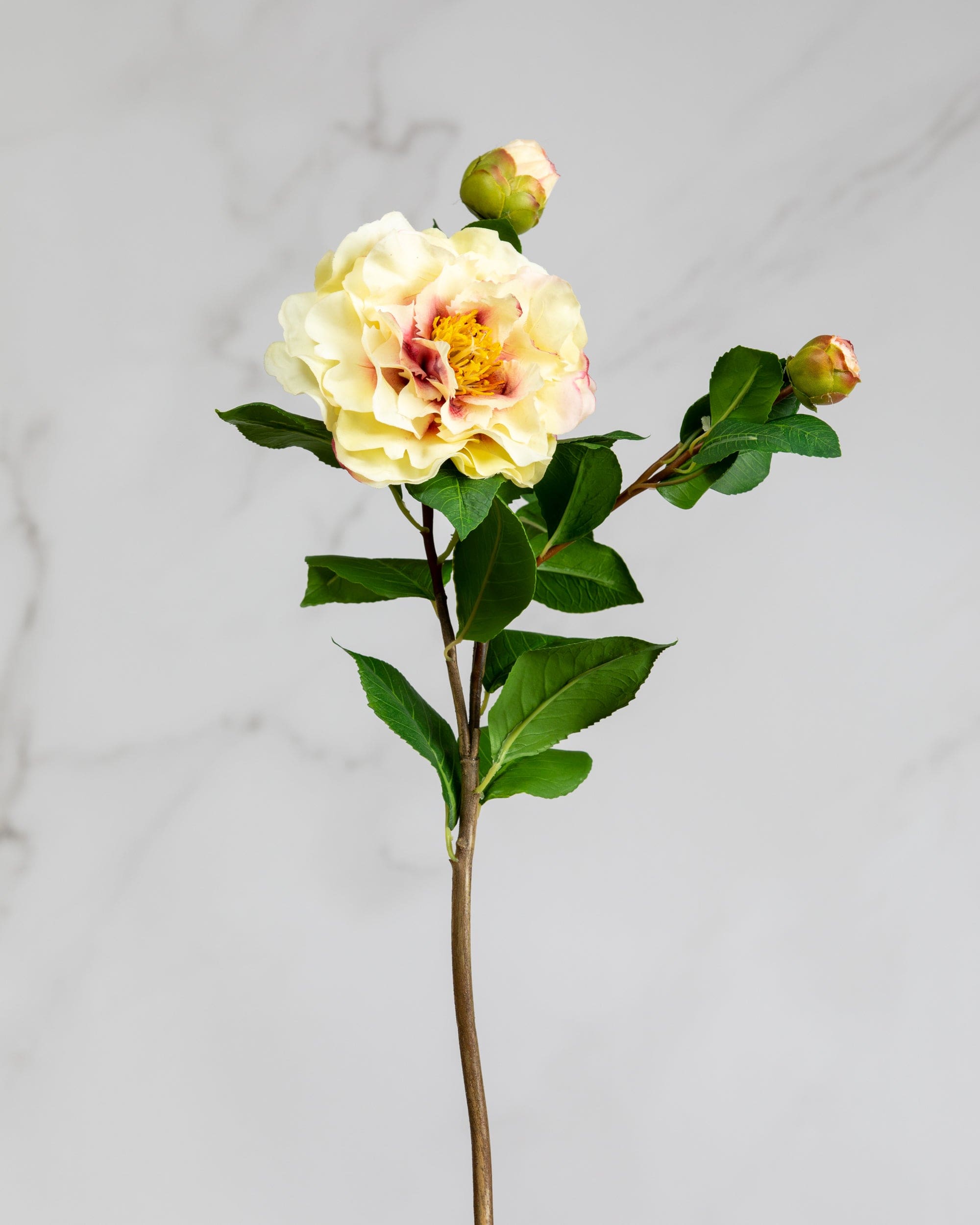 Prestige Botanicals Artificial Cream Ruffle Camellia Stem