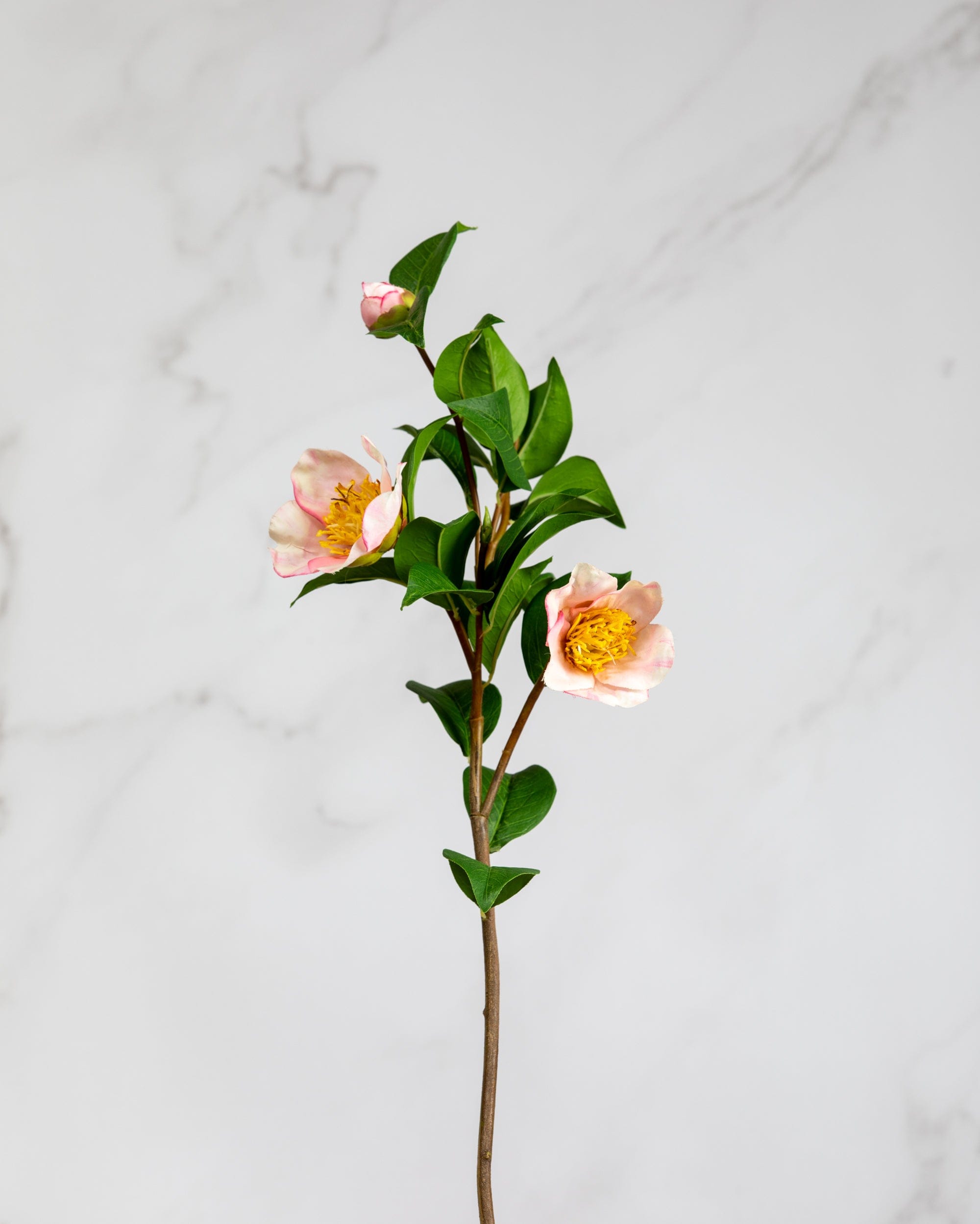 Prestige Botanicals Artificial Pink Sasanqua Camellia Stem