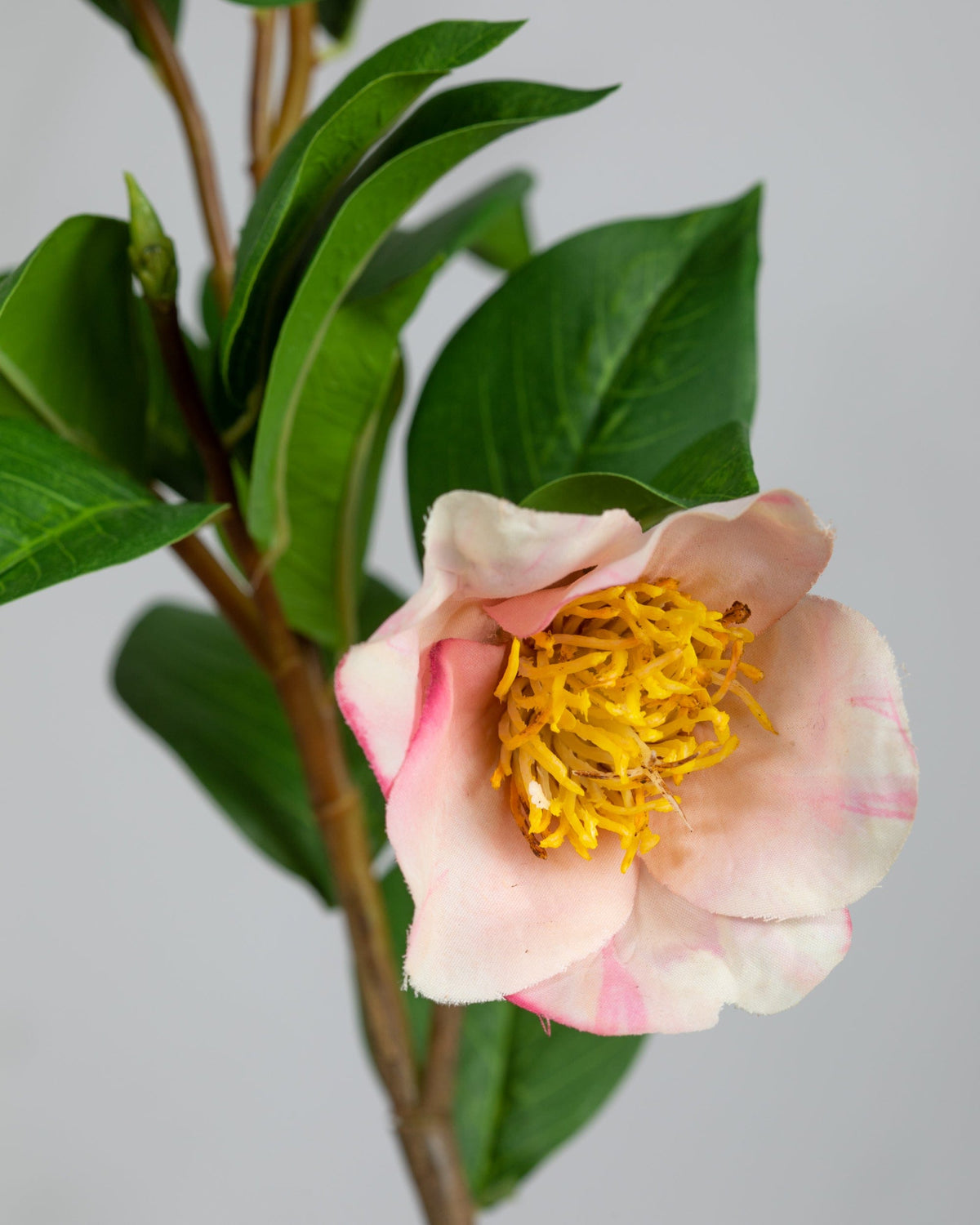 Prestige Botanicals Artificial Pink Sasanqua Camellia close up