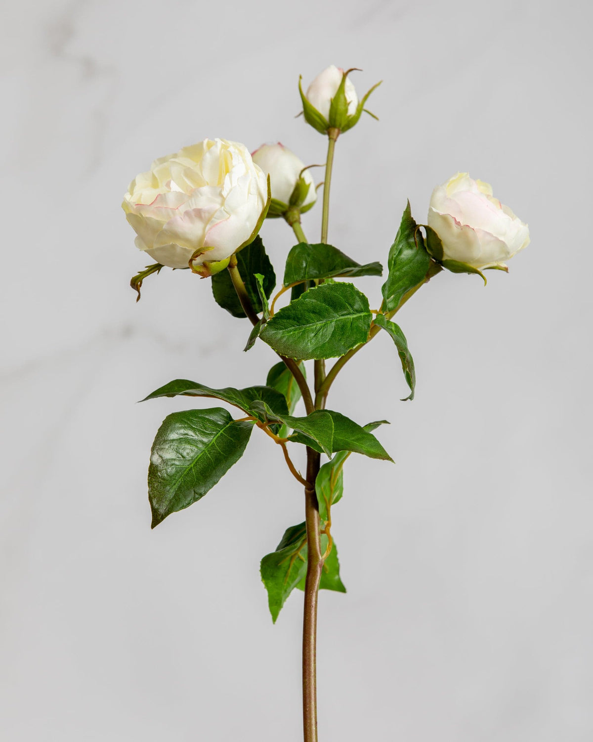 Prestige Botanicals Artificial White English Rose