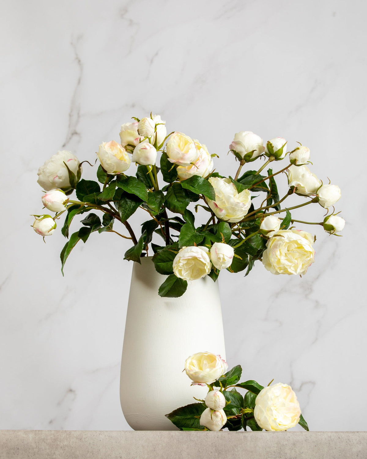 Prestige Botanicals Artificial White English Roses in a white vase