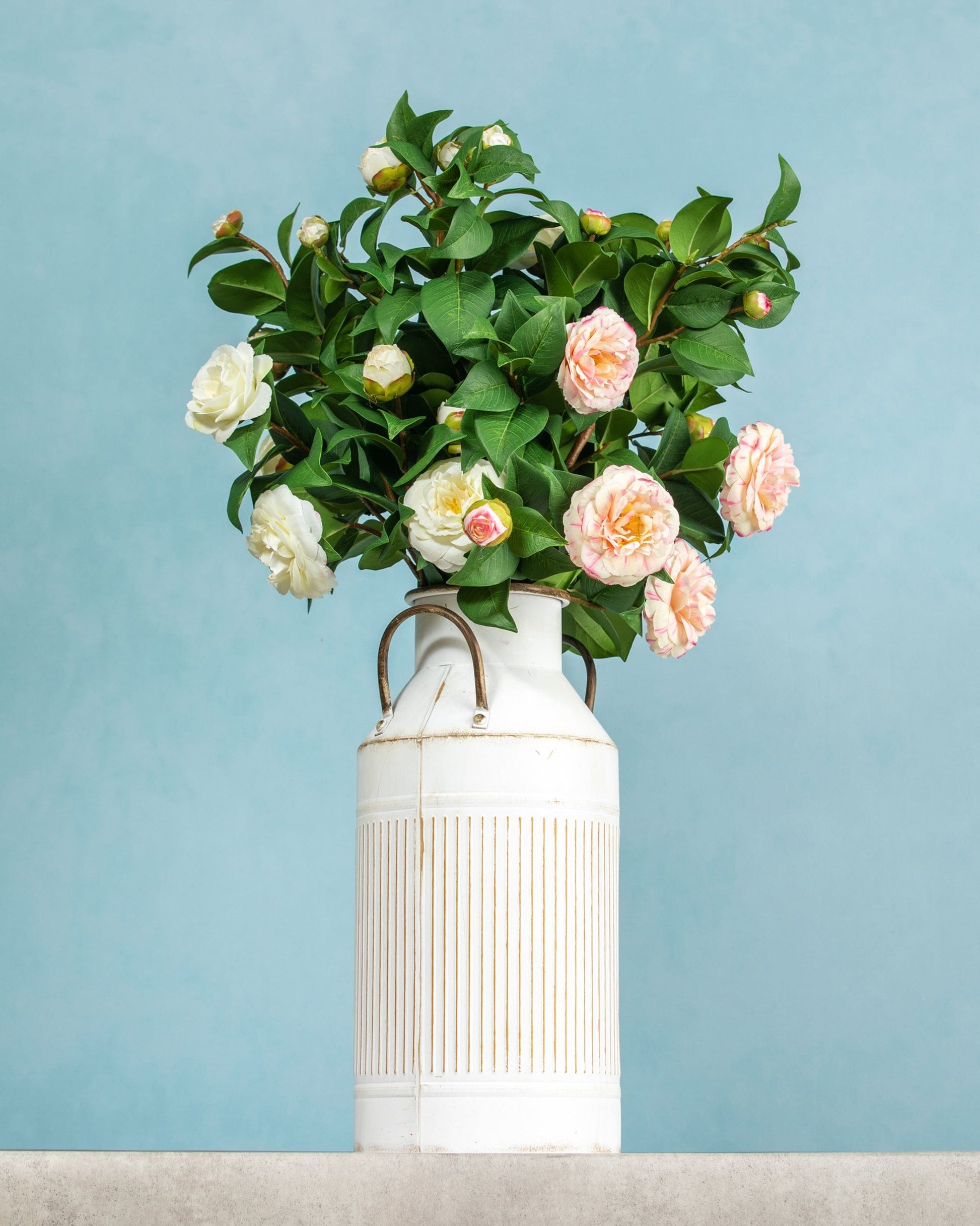 Prestige Botanicals Artificial Camellia Topiaries in a white tin vase