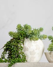 faux succulent string of pearls Faux String of Pearls Plant